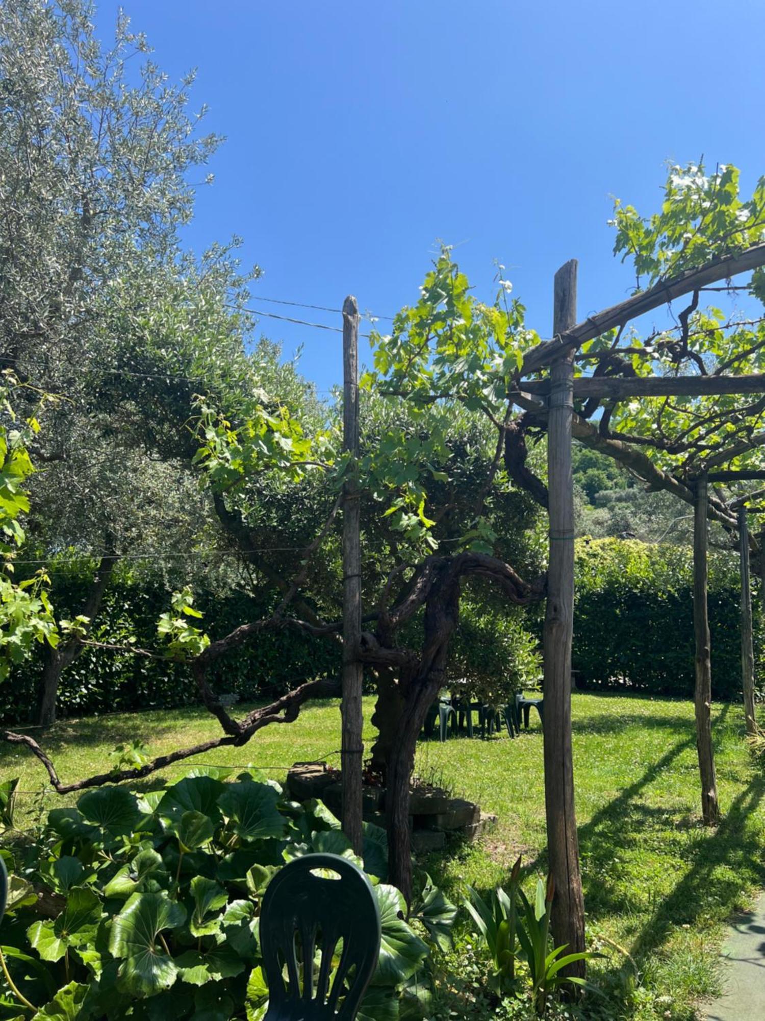 Agriturismo Le Grottelle Villa Sant'Agata sui due Golfi Ngoại thất bức ảnh